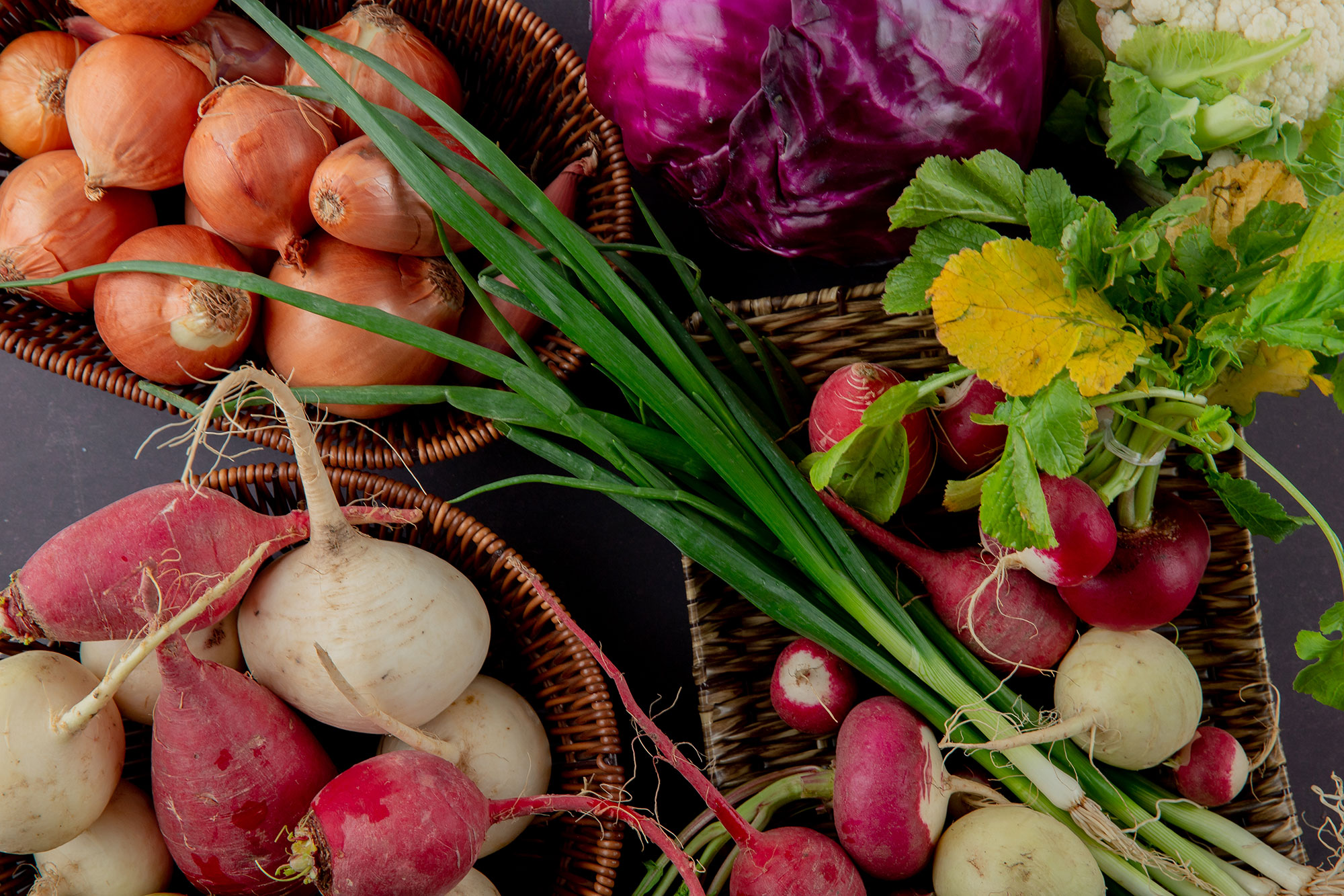 Food Waste Solutions
